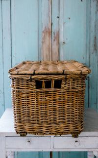 Vintage French Travel Trunk