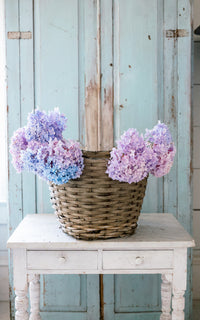 Vintage Swedish Apple Basket
