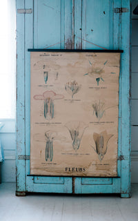 Vintage French Fleur Print Poster