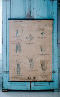 Vintage French Fleur Print Poster