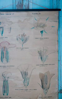 Vintage French Fleur Print Poster