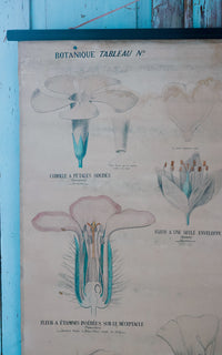 Vintage French Fleur Print Poster