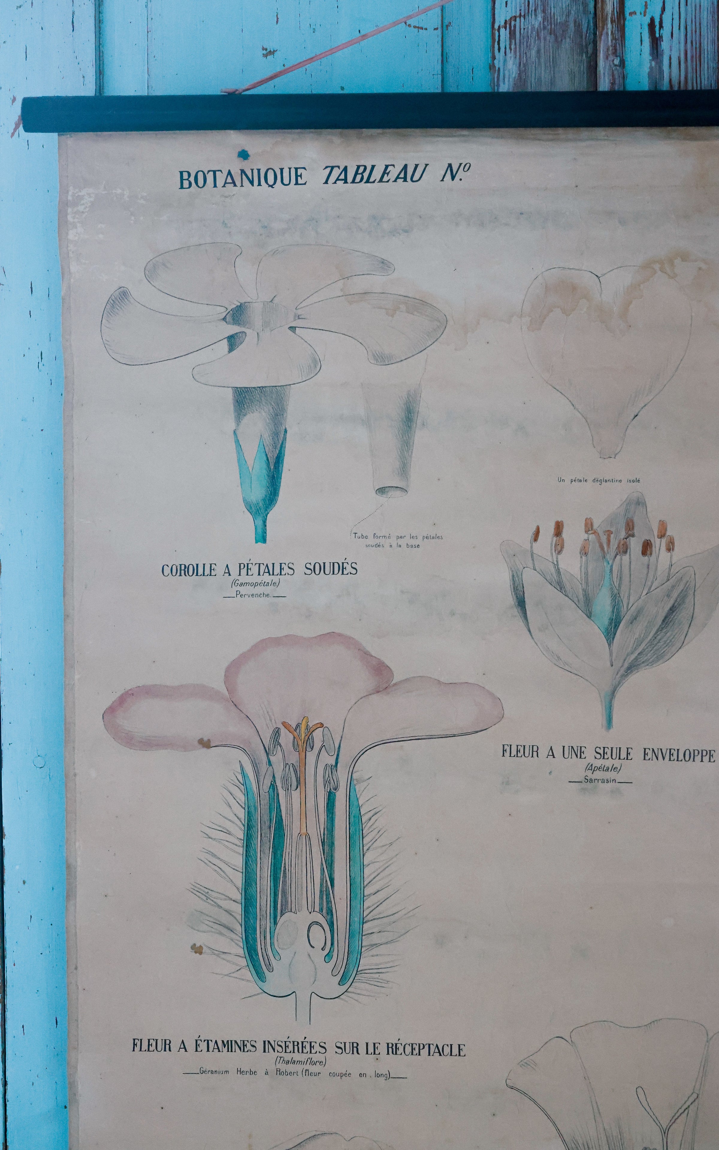 Vintage French Fleur Print Poster