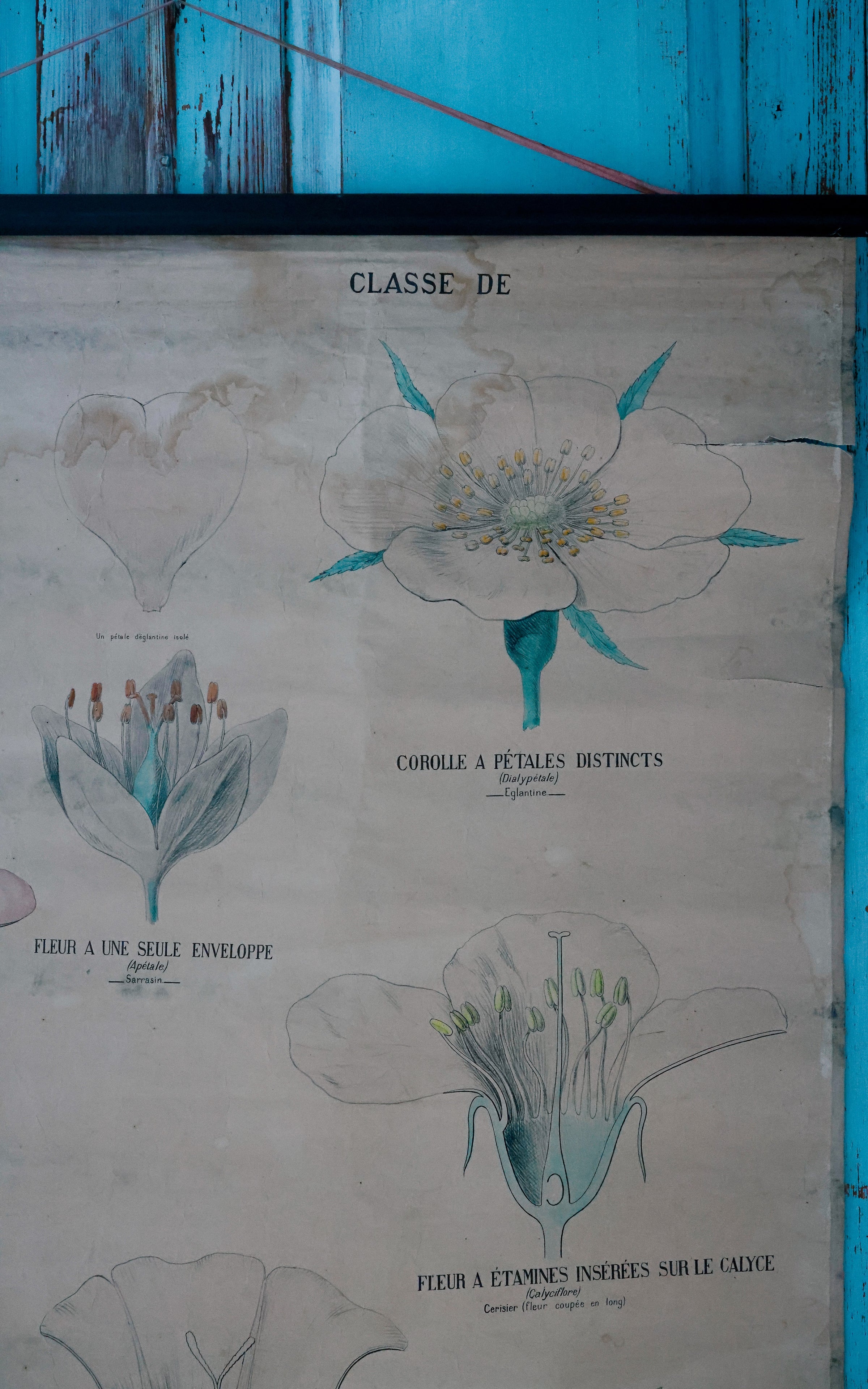 Vintage French Fleur Print Poster