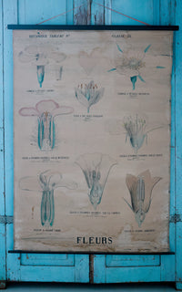 Vintage French Fleur Print Poster
