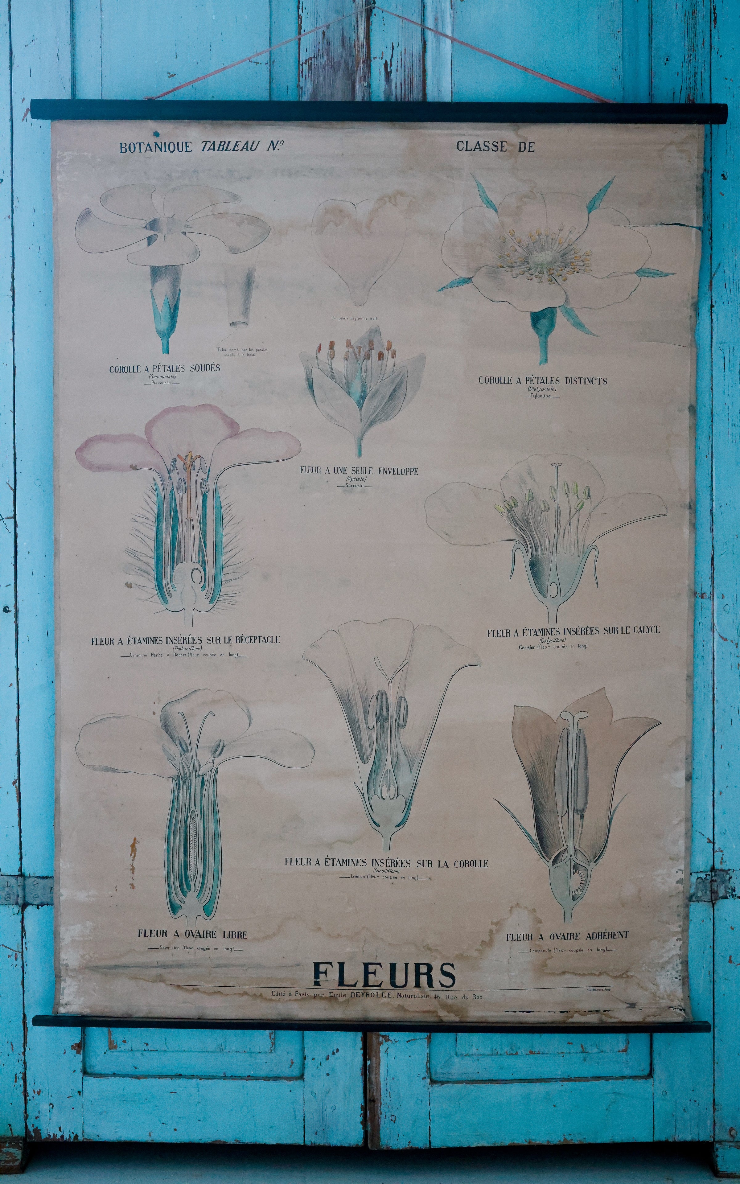 Vintage French Fleur Print Poster