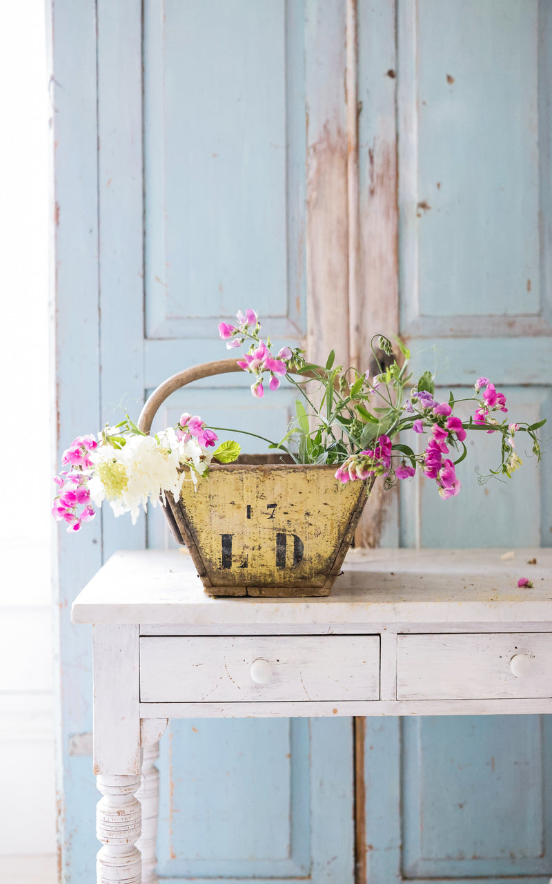 Vintage French Trugg