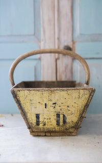Vintage French Trugg