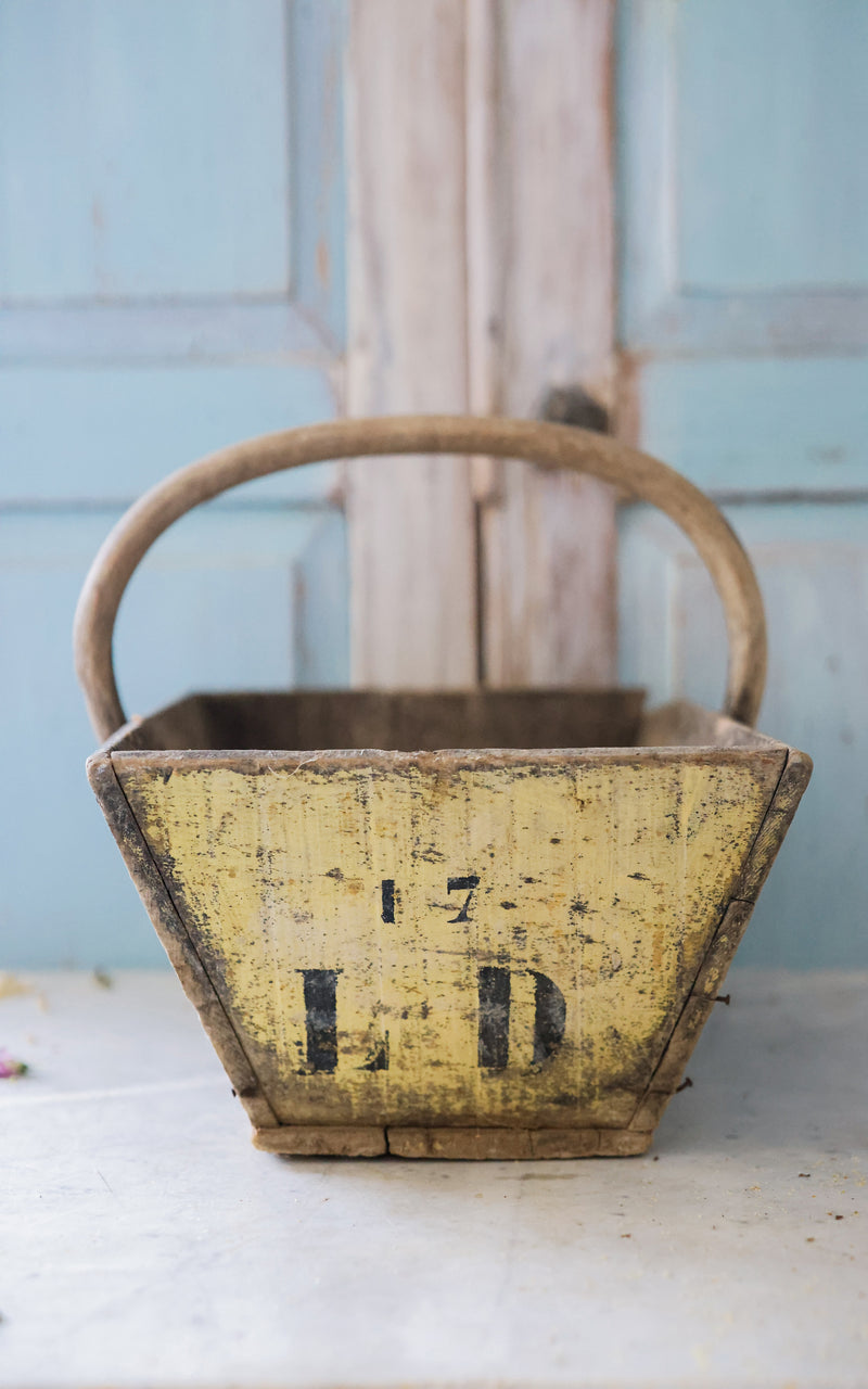 Vintage French Trugg