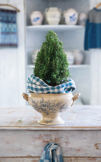 Vintage French Ironstone Tureen