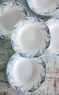 Set of Five Vintage French Ironstone Transferware Plates