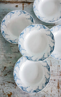 Set of Five Vintage French Ironstone Transferware Plates