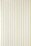 Closet Stripe