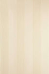 Plain Stripe