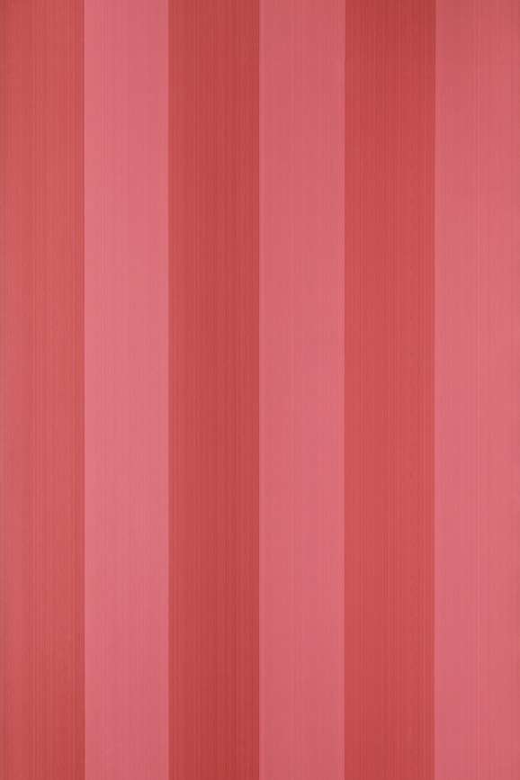 Plain Stripe