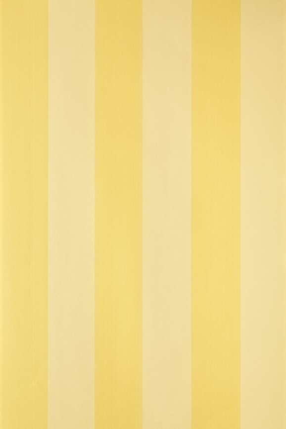 Plain Stripe