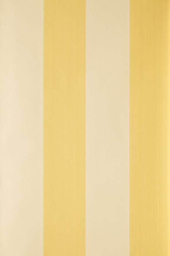 Broad Stripe