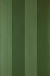 Broad Stripe
