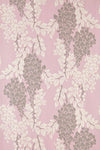Wisteria