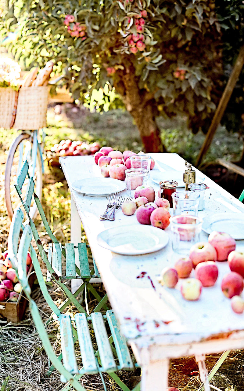 Set of Four French Farmhouse Apple Orchard Note Cards
