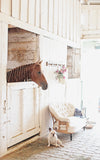 Set of Four At the Stables Note Cards