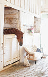 Set of Four At the Stables Note Cards